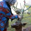 Les artistes ont la bêche : 5 avril 2016