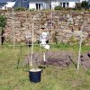 Inauguration du Jardin d'Eden (1)