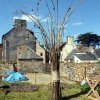Inauguration du Jardin d'Eden (1)