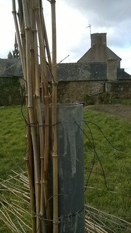 Préparation : les artistes ont la bêche