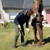Préparation : les artistes ont la bêche