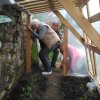 Finition de la serre