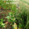 Plantes du Jardin d'Eden début juin 2019