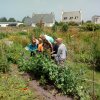Visite des pitchounes de l'école laïque 27/06/2019