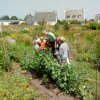 Visite des pitchounes de l'école laïque 27/06/2019