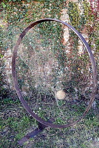 Corinne Cuenot