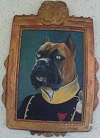 Danie Rotombe